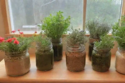 Un rincón acogedor de cocina rústica lleno de hierbas frescas