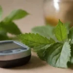 Un ramo de hojas de nettle mostrado junto con un medidor de glucosa y remedios herbarios.