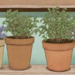 cuáles son los signos de deterioro en plantas medicinales almacenadas