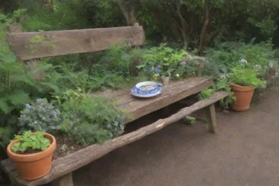 Un jardín sereno y vibrante