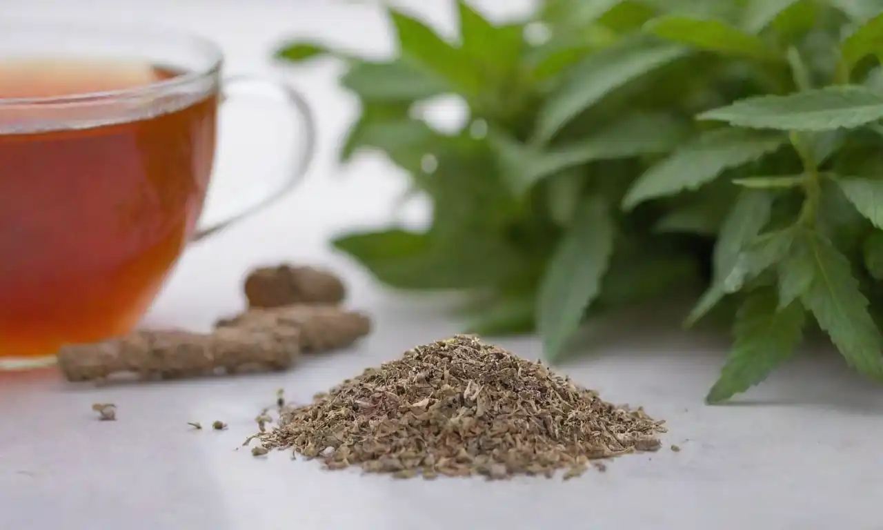 Cerca de la raíz valeriana junto con suplementos herbarios y una taza de té.
