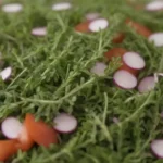 Recetas de tomillo frescas elegantemente dispuestas en una ensalada vibrante.