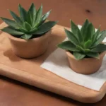 Cómo utilizar el aloe vera para preparar tus propios geles