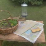 Como establecer un código de ética para la cosecha de plantas