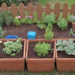 Cuál es la mejor época para sembrar plantas medicinales en huertos