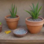 En qué consiste la terapia con plantas para combatir manchas