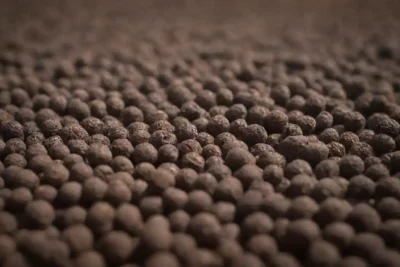 Grains of black pepper drying under the sun after being harvested and fermented.