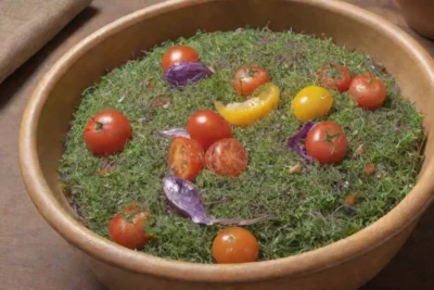 Una ensalada colorida y fresca con brotes de alfalfa