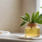 Qué beneficios aporta el aceite de jojoba a la piel seca