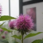 Instalación de arte con plantas monarda entrelazadas con elementos de arte modernos y símbolos culturales.