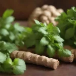 Una muestra de hierbas frescas como menta