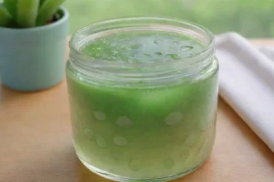 Un ambiente sereno con aloe vera