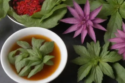 Las hojas de Monarda se exhiben junto con platos saludables y tés de hierbas.