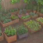 Que plantas medicinales tienen un periodo de cosecha prolongado