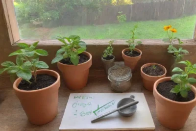 Un rincón de jardín vibrante y acogedor lleno de plantas