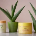 Planta de aloe vera junto a un producto de piel claro