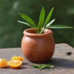 Cómo hacer un insecticida natural usando hojas de naranjo