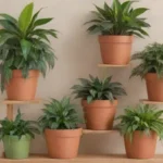 Qué plantas adaptar en tu hogar para reducir la tensión