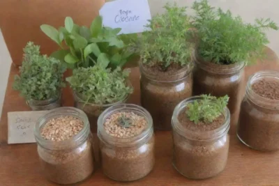 Un acogedor taller herbal lleno de colores vibrantes y aromas naturales