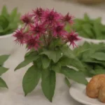 Hojas frescas monarda dispuestas con diversos platos en un ambiente de cocina vibrante.
