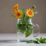 Jarra de agua fría con flores de diente de león flotando y una hoja de menta.