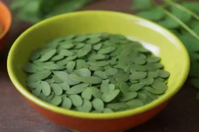 Las hojas de Moringa se exhiben en un plato verde vibrante