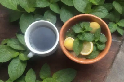 Un momento de tranquilidad con té