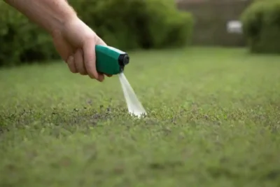 Una persona que aplica el spray de control de plagas basado en tomillo en un jardín.