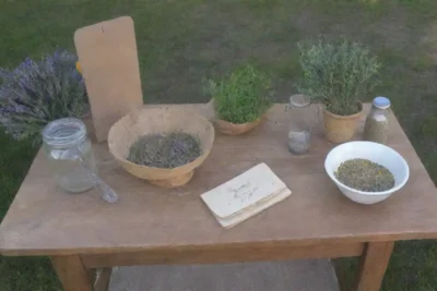 Una mesa rústica llena de hierbas y flores secas crea un ambiente acogedor y tranquilo