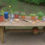Poda de plantas medicinales: podemos hacerlo en verano