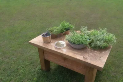 Un campo verde vibrante con hierbas