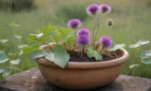 Un campo verde con plantas de bardana