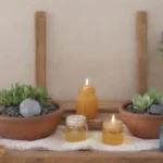 Los mejores aceites esenciales para el cuidado del entorno