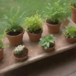 Cómo afectan las plantas medicinales al sistema endocrino