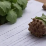 Un diseño detallado del plan de negocios con plantas de burdock y gráficos de análisis del mercado.