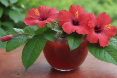 Flores de hibisco vibrantes y té rojo con limón en un entorno natural sereno