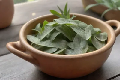 Un acogedor rincón de cocina con hierbas frescas