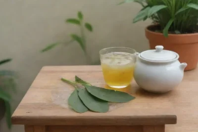 Un ambiente acogedor y sereno con yerbabuena
