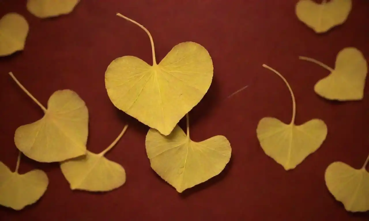 Ilustración de hojas de ginkgo biloba junto a un corazón y vasos sanguíneos.