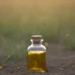 Diente de león en un campo