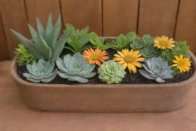 Un santuario herbal sereno con hojas verdes