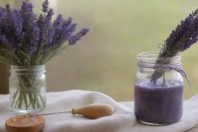 Un ambiente sereno con campos de lavanda