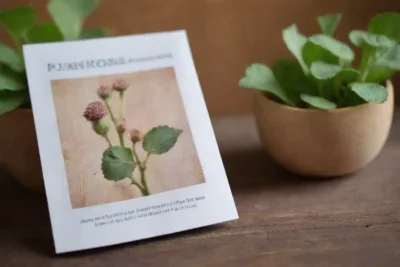 Planta burdock junto a un panfleto de tratamiento de psoriasis sobre una mesa de madera.
