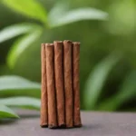 Pegatinas de canela y aceite esencial situado junto a una planta al aire libre