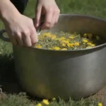 Una persona coleccionando leones y hirviéndolos con ingredientes en una olla.