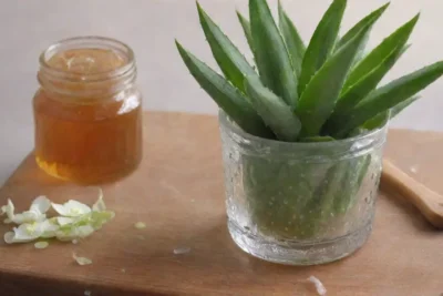 Un ambiente sereno con aloe vera